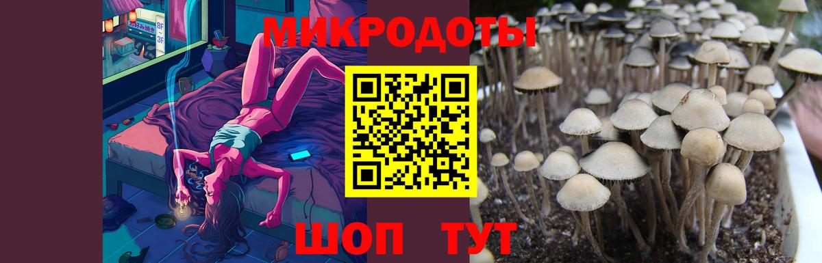 Псилоцибиновые грибы GOLDEN TEACHER Дивногорск